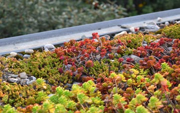 the cost of Brissenden Green green roof installation