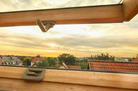 rated Brissenden Green roof window companies